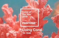 温暖与生命力！2019年潘通年度流行色「活力珊瑚橙」新鲜出炉！ ... ...